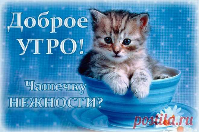 Доброе Утро! Чашечку Нежности?...