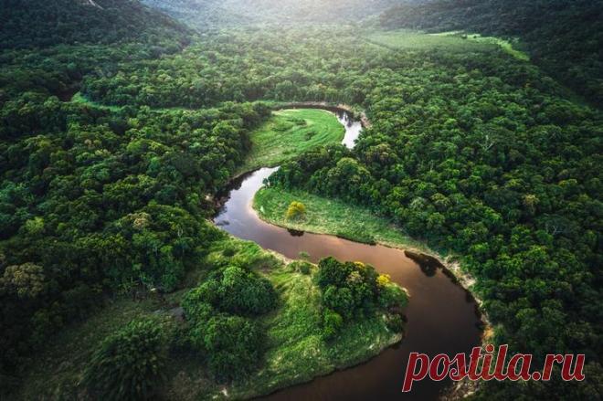 Самые большие лесные зоны в мире Природа сделала человечеству замечательный подарок – лес. Тысячи квадратных километров Земли, покрытых деревьями и кустарником, являются родным домом для животных, птиц и людей.Лес источник кислорода ...
