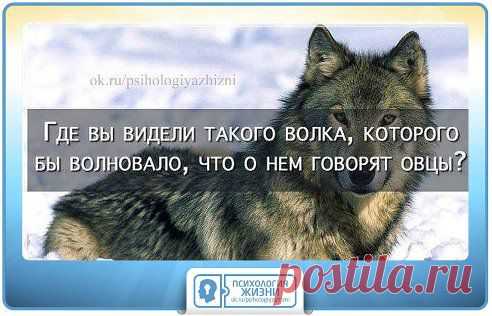 Не заботьтесь о том, что о вас подумают другие люди. Они слишком обеспокоены тем, что думаете о них вы…

Артур Блох