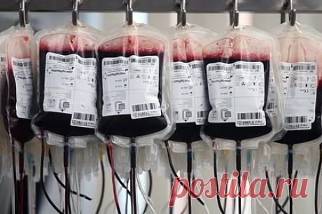 Всероссийский марафон «Оставайся донором» провели в Нальчике. Всероссийский марафон «Оставайся донором» состоялся в Нальчике, Кабардино-Балкария. По информации издания, мероприятие провели 20 апреля на Станции переливания в честь Национального дня донора. Известно, что сдавали кровь участники регионального подразделения «Молодежки ОНФ».