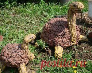 черепаха из монтажной пены - Поиск в Google