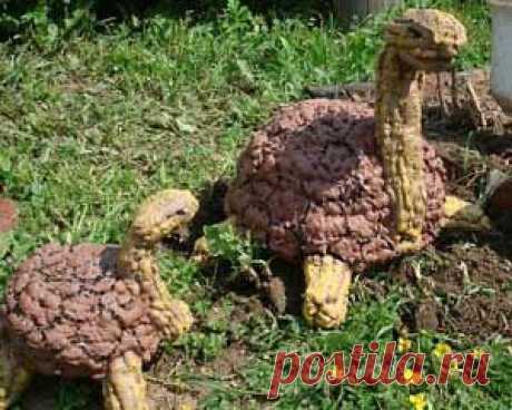 черепаха из монтажной пены - Поиск в Google