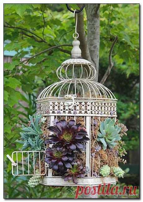 Timeline Photos - Sociedad Argentina de Horticultura