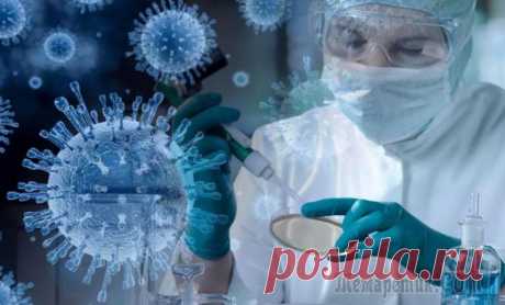 2022-Датские ученые обнаружили новую мутацию «стелс-Омикрона»