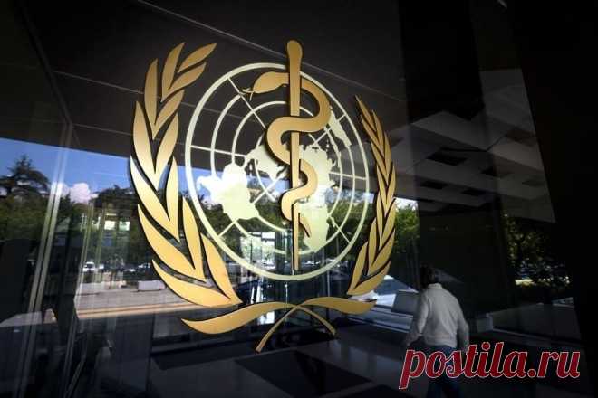 Великолепная семёрка: группа из семи представителей Европарламента бросает вызов диктатуре ВОЗ | Информационно-аналитическое издание – Узнать последние новости онлайн от независимого издания