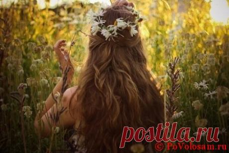 Кора дуба для волос: отвары и маски от выпадения и перхоти