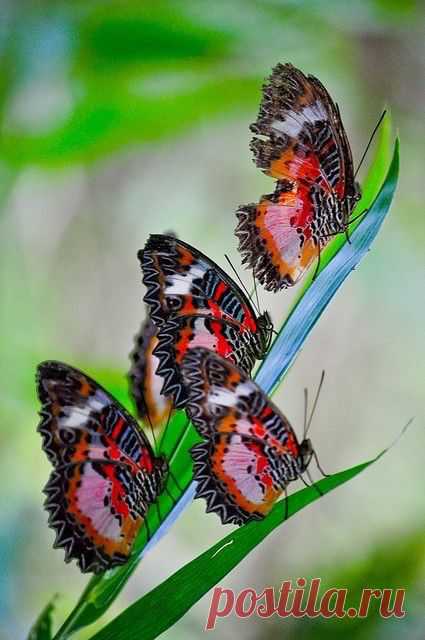 It's a beautiful world!