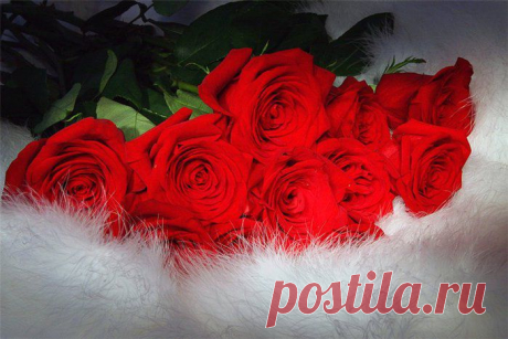 proxy.imgsmail.ru (699×466)