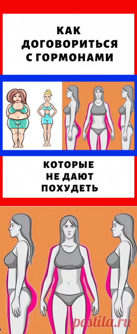 Как договориться с гормонами, которые не дают похудеть