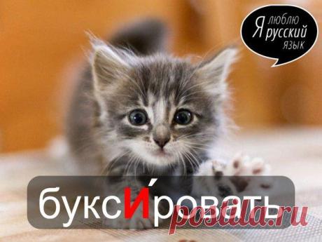 Стена