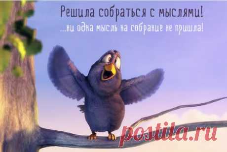 Позитив в коротких фразах | Домашняя аптечка