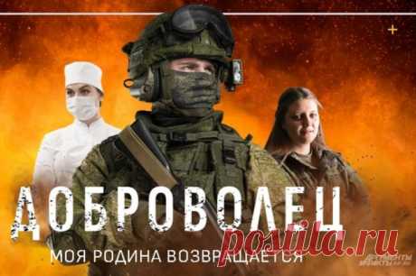 Герои страны. Проект АиФ «Доброволец» номинирован на премию. Премия-фестиваль «Герои большой страны» опубликовала шорт-лист номинантов. Одним из них стал проект АиФ «Доброволец».