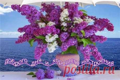 Послушайте симфонию весны. 
Войдите в сад, 
Когда он расцветает, 
Где яблони, одетые цветами, 
В задумчивость свою погружены. 

Прислушайтесь... 
Вот начинают скрипки 
На мягких удивительных тонах. 
О, как они загадочны и зыбки, 
Те звуки, что рождаются в цветах! 

А скрипачи... 
Вон сколько их! Взгляните... 
Они смычками зачертили сад. 
Мелодии, как золотые нити, 
Над крыльями пчелиными дрожат. 

Здесь все поет... 
И ветви, словно флейты, 
Неистово пронзают синеву...
