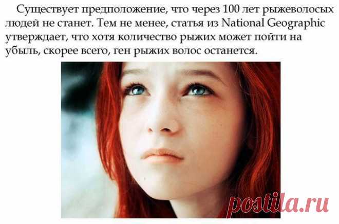 Интересные факты о рыжеволосых людях