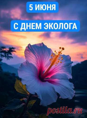 Чистота озёр и речек
Под сохранностью твоей,
Сил тебе желаю вечных,
Быть активней и бодрей.
С Днем эколога!