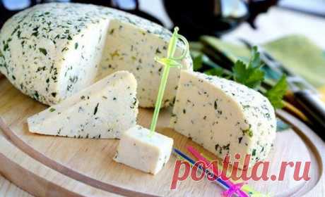 Она взяла банку молока и добавила в нее уксус! Результат — вкуснейший домашний сыр!