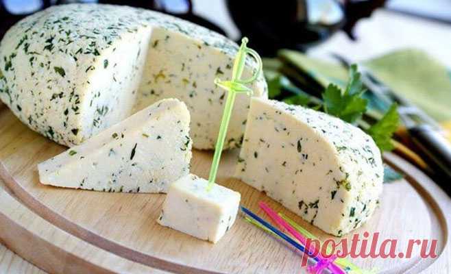 Она взяла банку молока и добавила в нее уксус! Результат — вкуснейший домашний сыр!