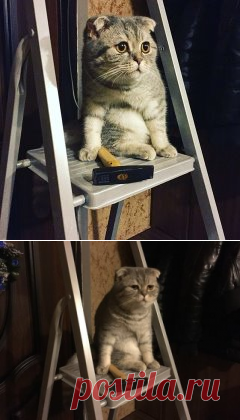 Одноклассники