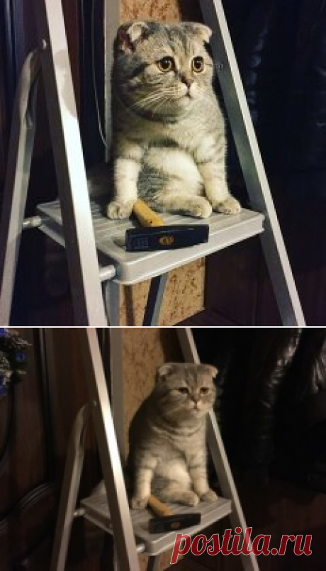 Одноклассники