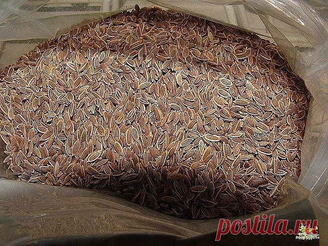 Чтобы забыть о давлении нужно взять горсть семян укропа. Через неделю будете здоровы!
Высокое давление придет в норму, исчезнут запоры, боли в желудке и мочевом пузыре, пройдет недержание мочи и кала, если в заварочный чайник насыпать столовую ложку с горкой семян укропа и залить их пол-литрами кипятка. Накрыть чайничек салфеткой или укутать полотенцем на 40 минут, чтобы семена хорошо запарились и отдали все ценные вещества в воду.
Полученное лекарство нужно пить прямо из ...