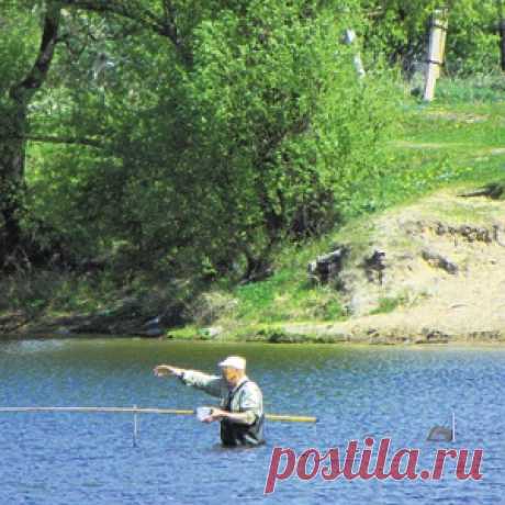 Запахи для рыбы - МирТесен