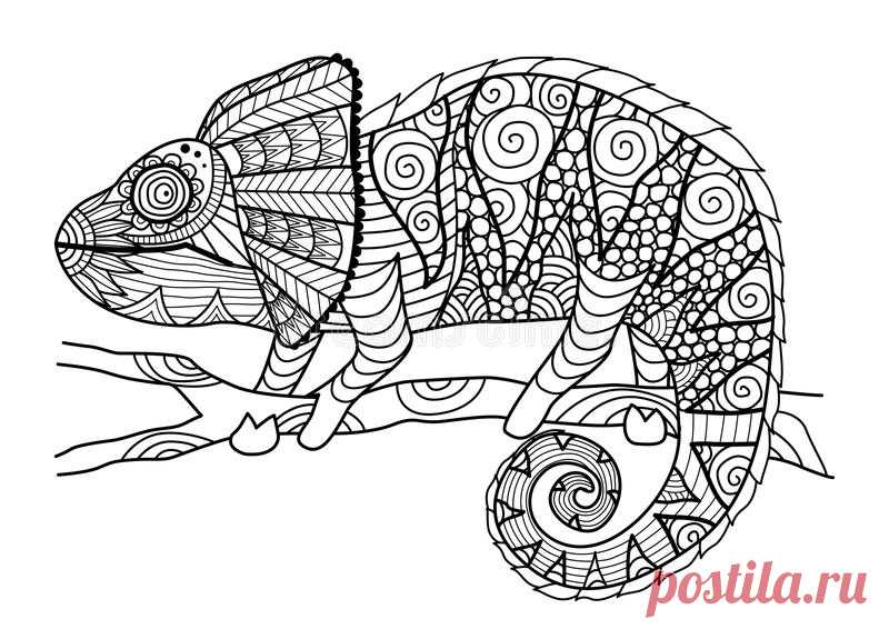 Hand Drawn Chameleon Zentangle Style For Coloring Book, Shirt Design Effect, Logo, Tattoo And Other Decorations. Stock Vector - Illustration of camouflage, amphibian: 60693692 Illustration about Hand drawn chameleon zentangle style for coloring book, shirt design effect, logo, tattoo and other decorations. Illustration of camouflage, amphibian, image - 60693692