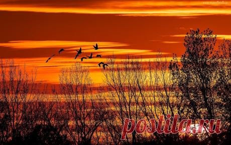 КУЧА КЛАССНЫХ КАРТИНОК - Группы Мой Мир