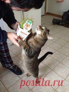 20 крошечных детенышей, которые помещаются в ладошку / Surfingbird знает всё, что ты любишь