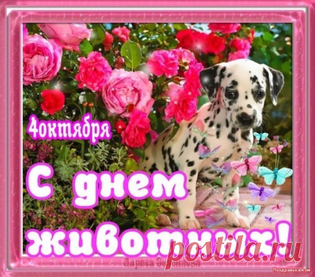 Поздравляю со Всемирным днем защиты животных! Пусть наши любимые звери приносят нам радость, покой, нежность и доброту. Открытки на День защиты животных.
