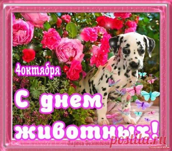 Поздравляю со Всемирным днем защиты животных! Пусть наши любимые звери приносят нам радость, покой, нежность и доброту. Открытки на День защиты животных.