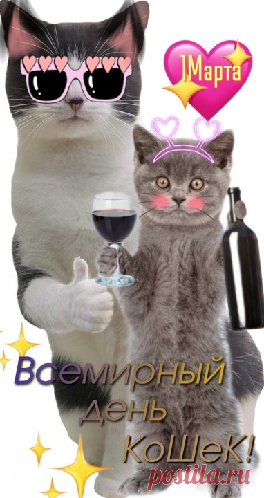 Всемирный день кошек!
