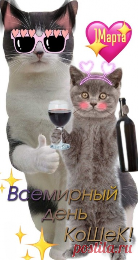 Всемирный день кошек!