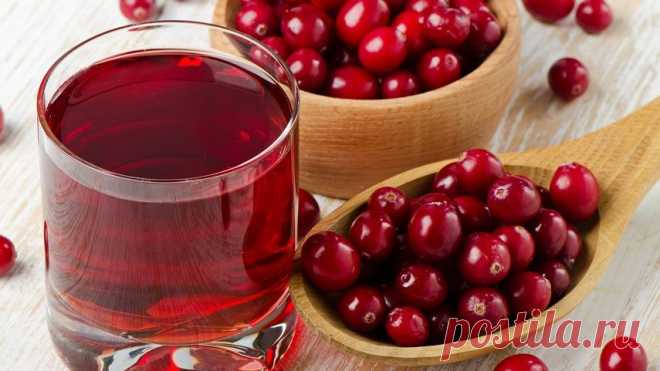 Клюквенный сок защищает от болезней сердца и сосудов - новости на Здоровье Mail.Ru