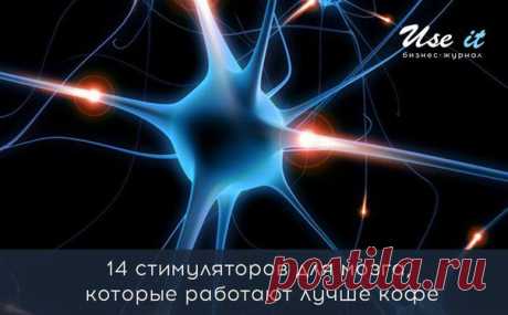 14 стимуляторов для мозга, которые работают лучше кофе / Основы бизнеса