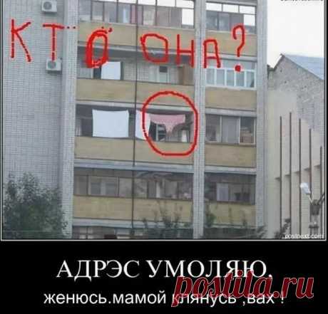 Труселя на балконе и дырявые тряпки - меня лично коробит | Life and Society | Яндекс Дзен