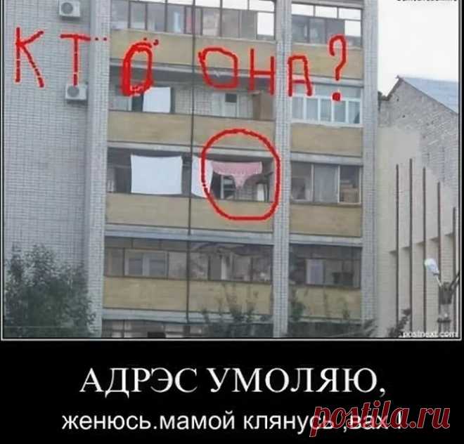 Труселя на балконе и дырявые тряпки - меня лично коробит | Life and Society | Яндекс Дзен