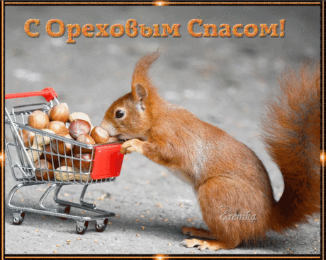 С ореховым спасом!