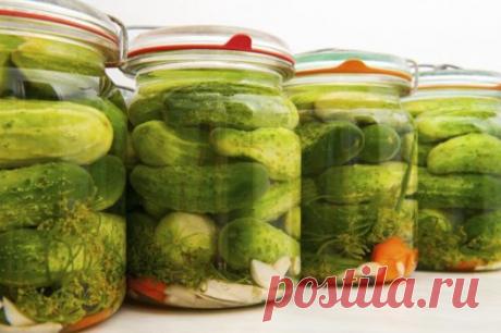 «Супер хрустящие» огурцы по-баварски на зиму Очень понравились!   Ингредиенты: На литровую банку:   Огурцы; морковь — 0,5 штуки; чеснок — 2 зубчика; одна луковичка; укроп; сахара — 2 чайные ложки; соль — 1 чайная ложка; уксус 9% — 45 миллиграм. Приготовление: Огурцы помойте и замочите в холодной воде на 4 часа. Банки простерилизуйте. Уложите на дно морковку порезанную кружками, чеснок, ...