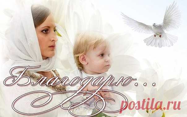 (4) Мой Мир@Mail.Ru