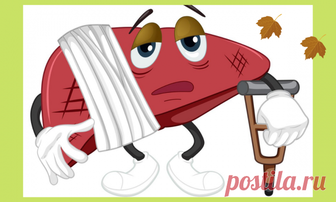 Из чего готовим и что едим, чтобы помочь печени | Дамы, давайте худеть вместе | Яндекс Дзен