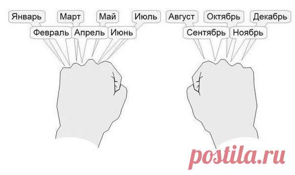 Хитрости Жизни | ВКонтакте