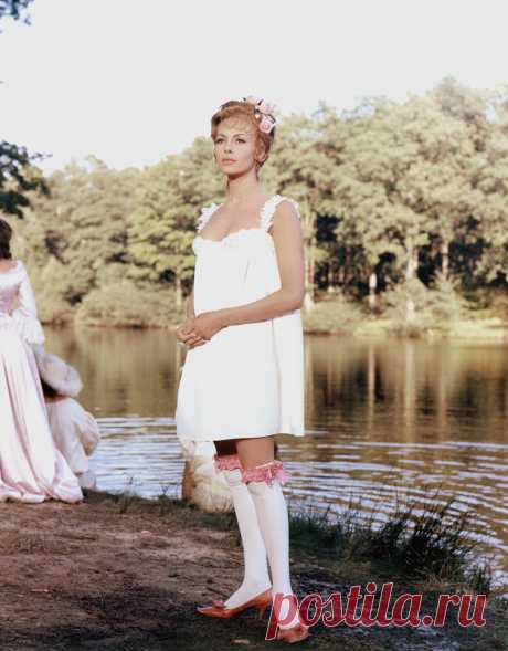 Невероятно красивая женщина, идеал женской красоты и обаяния, смотришь на нее, как на прекрасный цветок и не можешь насмотреться.

Мишель Мерсье по праву входит в десятку самых красивых женщин всех времен и народов. Сколько бы не было прекраснейших девушек в мире, таких как Мишель Мерсье больше не существует. Идеал красоты, несмотря на то, что вкусы меняются, но этот идеал остается на самом высочайшем пьедестале.