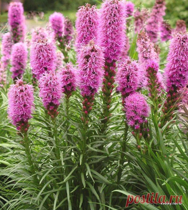 Мои покупки... | НА ЗАВАЛИНКЕ