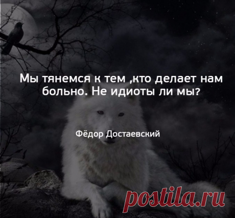 (51) Одноклассники