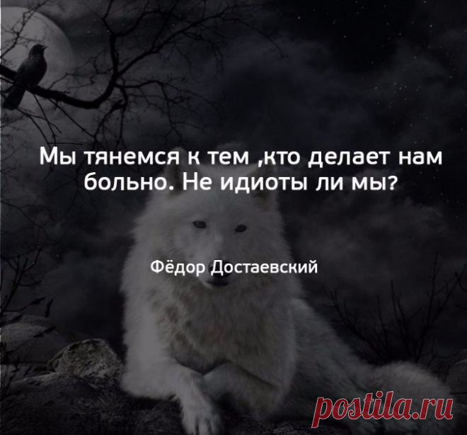 (51) Одноклассники