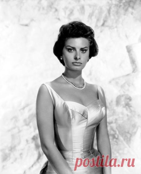 The special edition: Sophia Loren: humus — ЖЖ