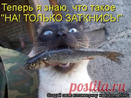 Мысли вслух