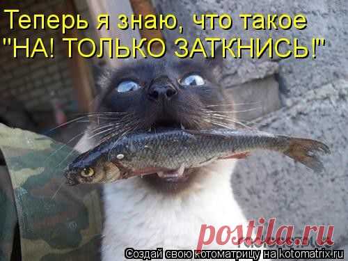 Мысли вслух