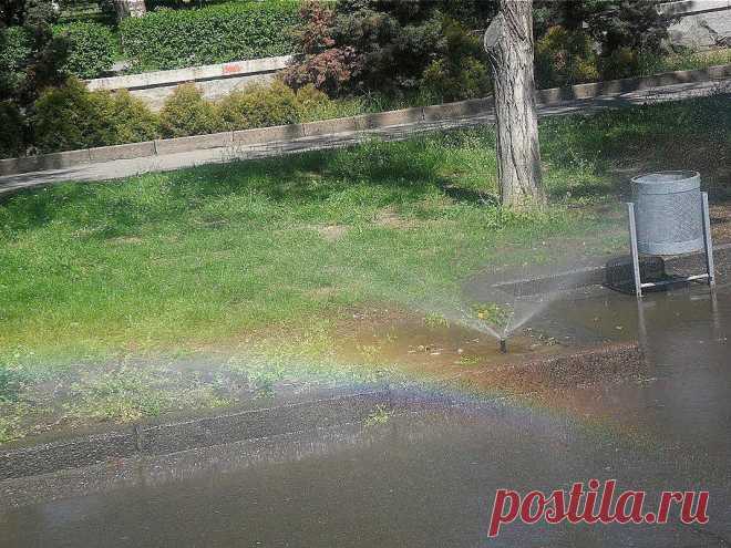 Волгоград.Набережная.Радуга от лужи