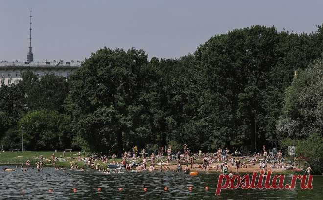 Синоптик пообещал воду сочинской температуры в столичных водоемах. Начиная с субботы в столице объявлен «оранжевый» уровень погодной опасности из-за сильной жары.